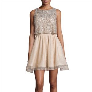 Alice + Olivia Hilta Beaded A Line Dress